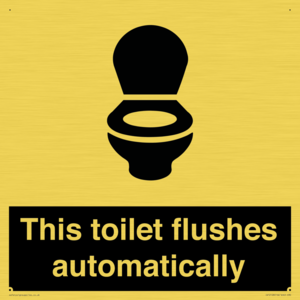 This toilet flushes automatically